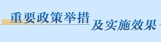 重要政策舉措及實施效果